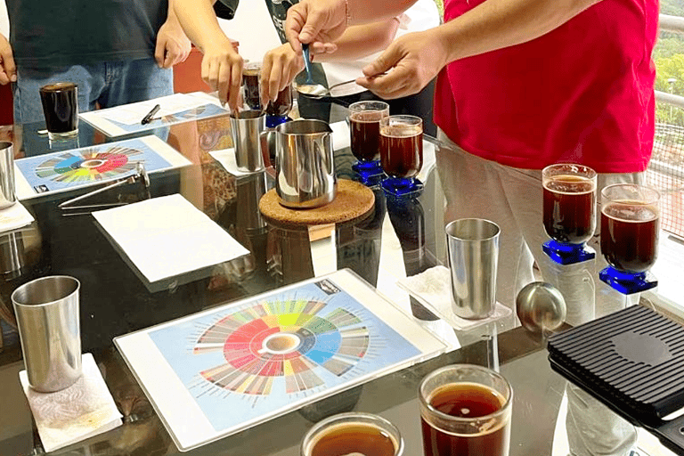 Bogota: Coffee Cupping and Sensory Art Workshop Premium Experience with Lunch