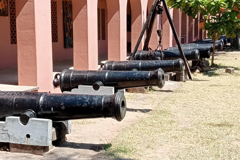 Mombasa: Altstadt und Haller Park Geführte TagestourHaller Park Tour.