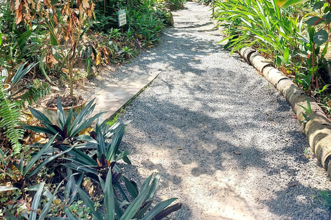 Santa Lúcia: Caminhada pela natureza e fuga do jardim botânico