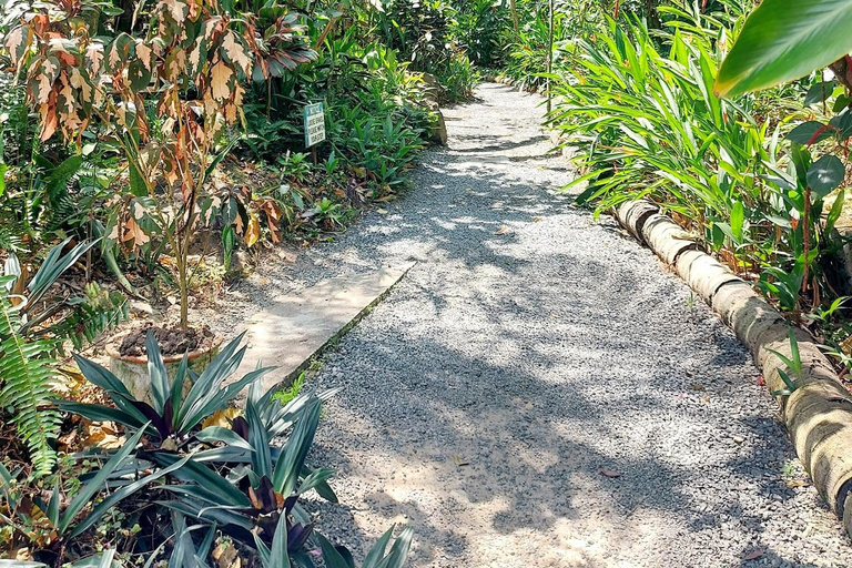 Santa Lúcia: Caminhada pela natureza e fuga do jardim botânico