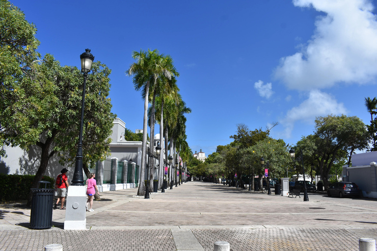 Private: Puerto Plata Half-Day Cultural &amp; Historical Tour