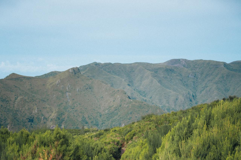 Funchal: Vereda do Fanal PR13 Hiking with Transfer & Guide