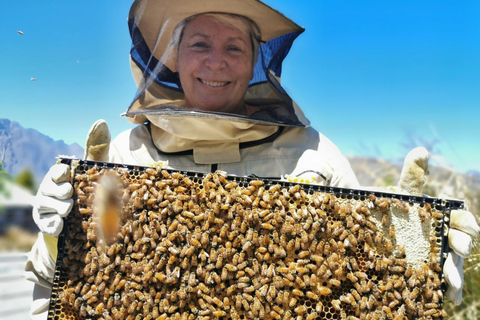 Queenstown: Beekeeping and Honey Spinning Experience