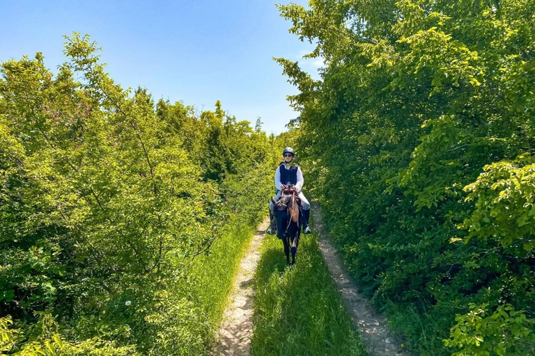 From Tbilisi: Private Horseback Riding & Uplistsikhe Tour