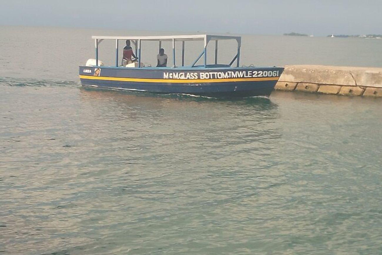 Negril: Picknick på ön Booby Cay med snorkling