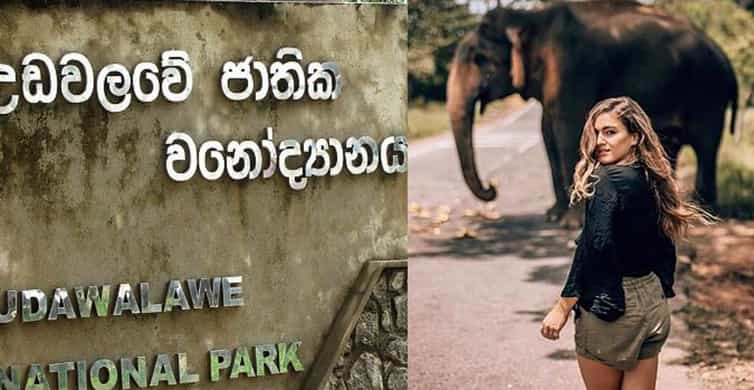 Safari Tour Van Galle Hikkaduwa Naar Udawalawe Nationaal Park