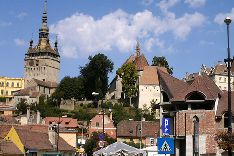 Brasov: Sighisoara Day Trip with Walking Tour