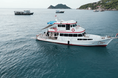 Ko Tao: Try Scuba Diving 1-Day Experience