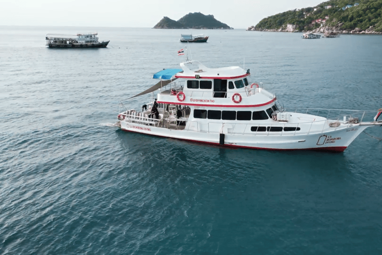 Ko Tao: Try Scuba Diving 1-Day Experience