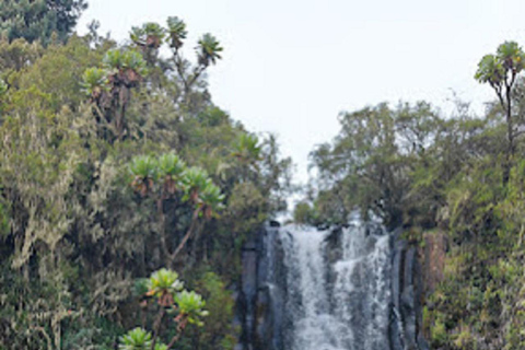 内罗毕：3日阿伯达雷国家公园经济型Safari内罗毕：3天阿伯达雷国家公园经济型Safari之旅