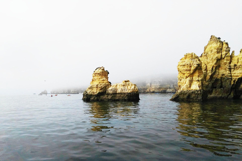 Lagos: Boottocht naar de grotten van Ponta da Piedade/grottenBoottocht naar grotten in Lagos niet privé