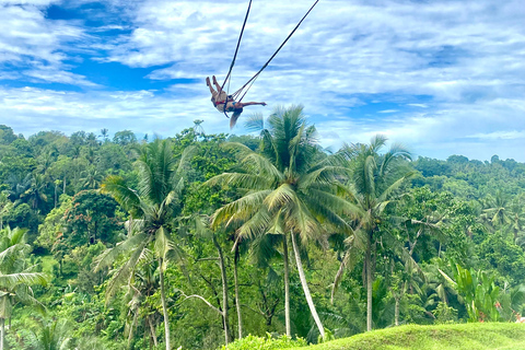 Bali: Swings, Koi Fish Photo Boat, Monkey Forest & Waterfall Private Tour all Ticket include