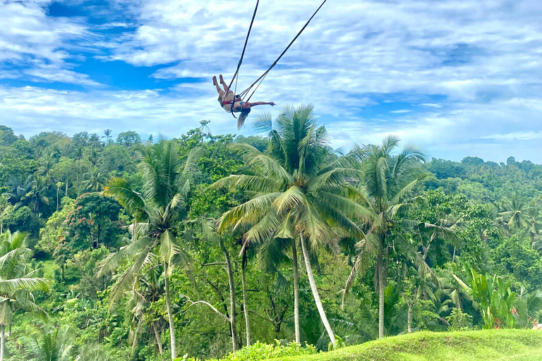 Bali: Swings, Koi Fish Photo Boat, Monkey Forest & Waterfall Private Tour all Ticket include