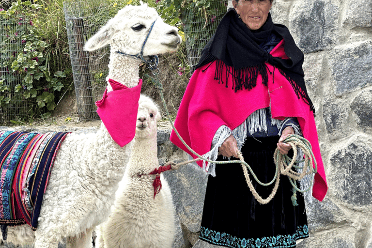 1 Tag Abenteuer in Cotopaxi und Quilotoa von Quito ausGemeinsame Tour