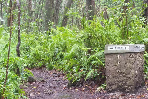 Jozani Forest & Turquoise Waters Turtle Swim at Salaam Cave TOUR WITHOUT HOTEL PICKUP AND DROP OFF