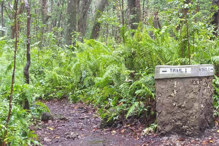 Jozani Forest & Turquoise Waters Turtle Swim at Salaam Cave TOUR WITHOUT HOTEL PICKUP AND DROP OFF