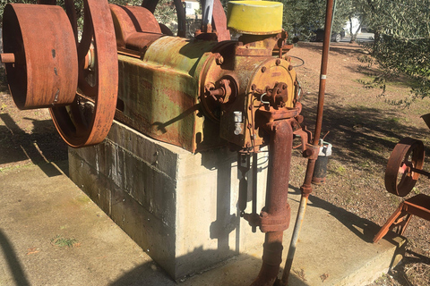 100% Authentic Cypriot Experience Workshops, Wine & Cultural