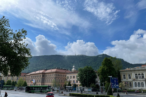 ‏4x4 Adventure: Outdoor BBQ, Games & Cinema in Brașov
