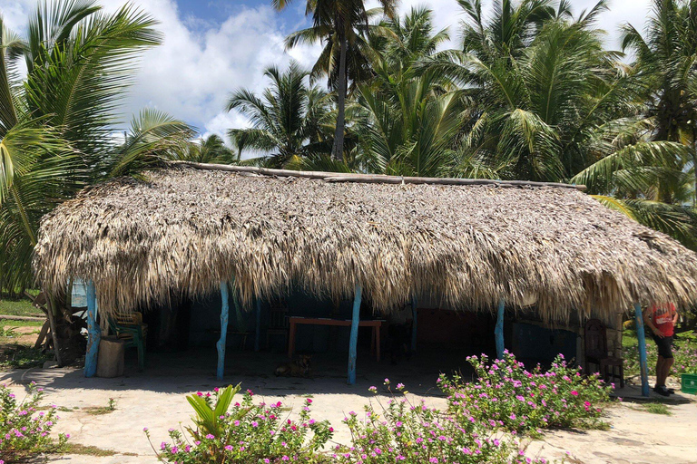 Private: Rural & Urban Dominican Life Tour: Flavors, Fields