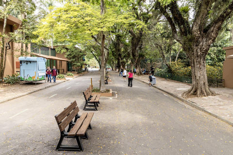 São Paulo : billet d'entrée pour le zoo de São Paulo