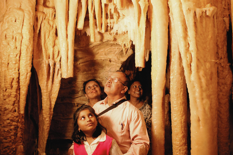 JUST WAITOMO GLOWWORM AND RUAKURI CAVES TOUR FROM AUCKLAND