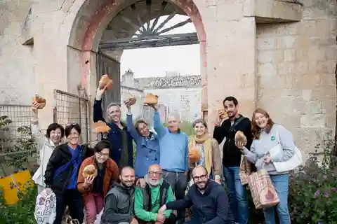 Tour des temples de l'huile et des oliviers patriarcaux