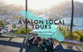 Avalon: Private Golf Cart Tour with Driver-Guide