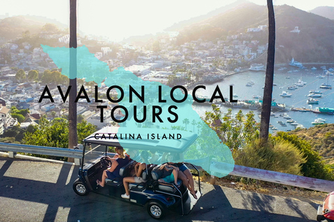 Avalon: Private Golf Cart Tour with Driver-Guide