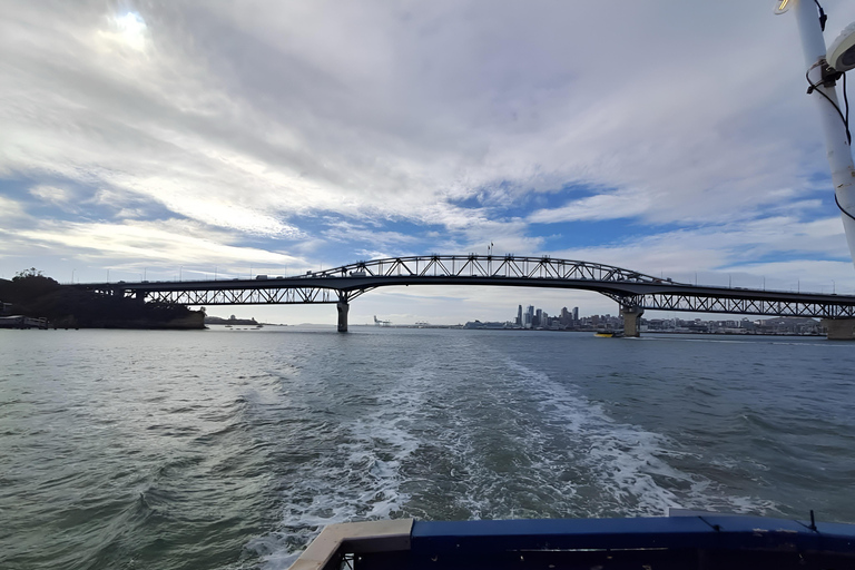 Auckland: Waitematā Harbour Cruise with Live Commentary