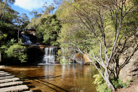 Vanuit Sydney: Blue Mountains, Sydney Zoo & Scenic World Tour