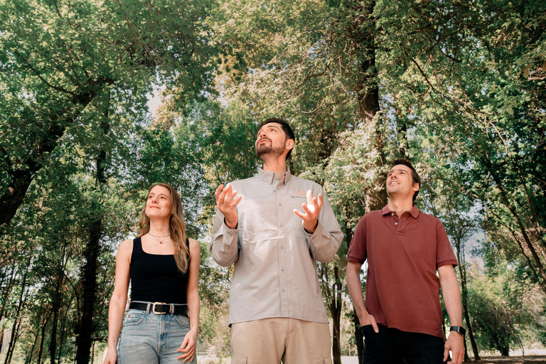 Santiago: Premium Guided Tour of the Concha y Toro Wine Center PREMIUM GUIDED TOUR OF THE CONCHA Y TORO WINE CENTER