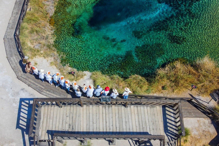 From Monterrey: Tour a Cuatro Ciénegas one day tour