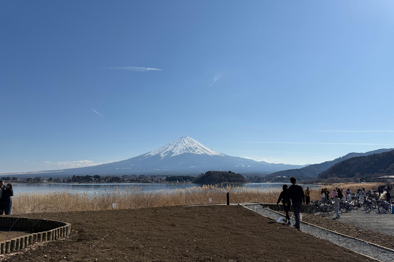 Tokyo: Mt Fuji A Journey Through Nature, History & Culture Tokyo: Mt Fuji A Journey Through Nature, History, & Culture