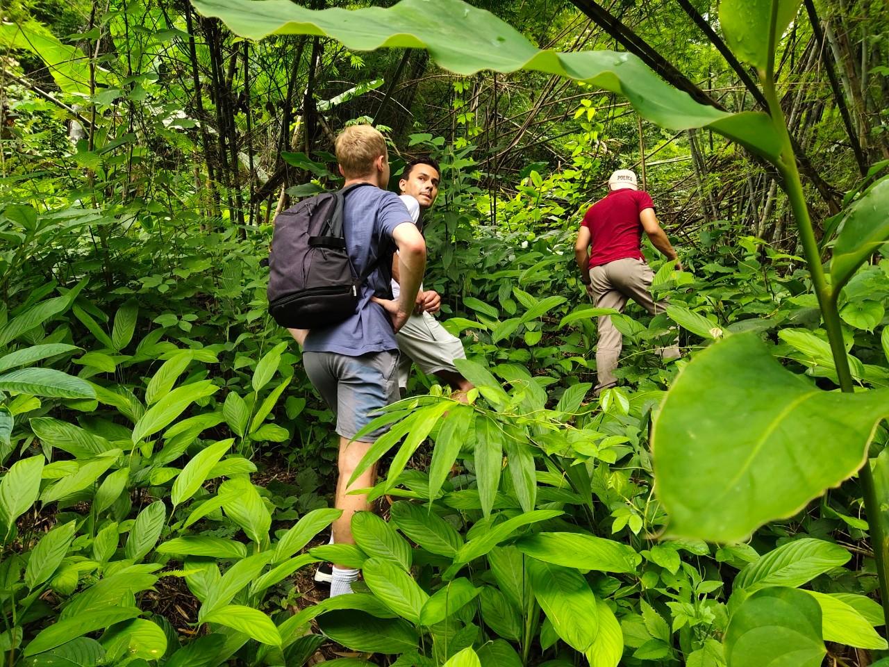 Chiang Rai: Dschungel-Abenteuer-Gruppen-Trekking & Bambus-Kochen