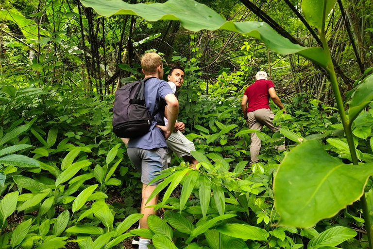 Chiang Rai: Jungle Adventure-Group Trekking & Bamboo Cooking