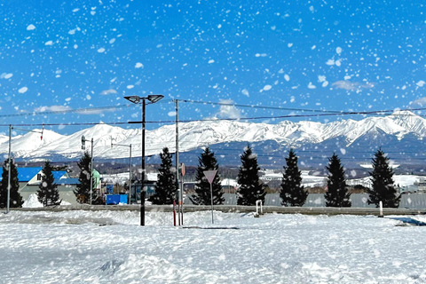 Hokkaido Tour：Asahiyama Zoo &Biei Waterfalls &Ningle Terrace Sapporo TV Tower 1F Information Center Departure