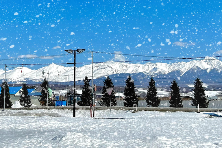 Hokkaido Tour：Asahiyama Zoo &Biei Waterfalls &Ningle Terrace Sapporo TV Tower 1F Information Center Departure