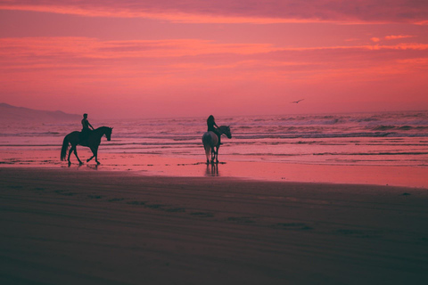 COSTA RICA:UPPTÄCK COSTARICAS VILDA DJUR-STRAND &amp; SKOG 2VECKOR