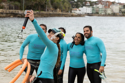 Manly Beach Guided Snorkeling Tours Open Group Tour