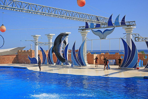 From Alanya/ Side: Dolphin Show Tickets with Hotel Transfer Transfer from Hotels