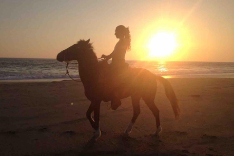 From Huatulco: Beach Horseback Riding Experience Regular Beach Horseback Riding Tour (2 hours)