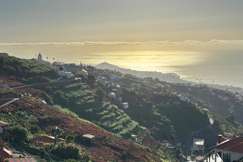 Madeira: Exotic Birds & Valleys 4x4 Safari with Local Guide Shared Exotic Birds & Valleys 4x4 Expedition Local Guide
