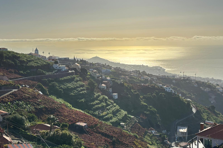 Madeira: Exotic Birds & Valleys 4x4 Safari with Local Guide Shared Exotic Birds & Valleys 4x4 Expedition Local Guide