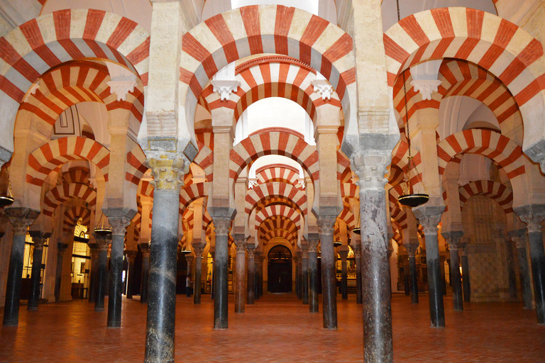 Guided visit to the Mosque of Cordoba and Medina Azahara Spanish with bus