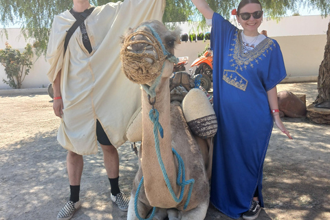 Hammamet: Dromedary and horse-drawn carriage ride with olive oil tasting Hammamet: Dromedary Ride and Carriage Ride with Olive Oil Food Tasting