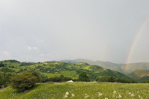 From Bucharest: Mud Volcanoes, Living Fires & Growing Stones
