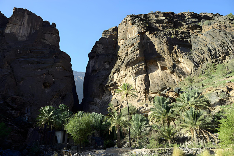 Paradise Valley y oasis de Tizgui: baño y spa de peces