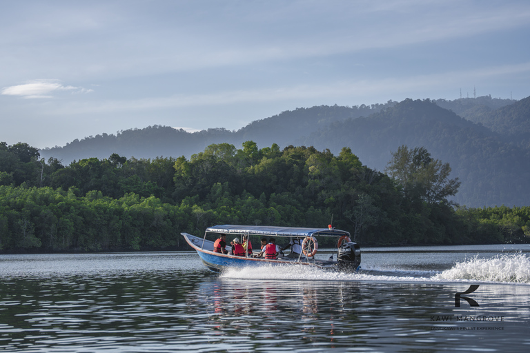 Langkawi: Sharing Mangrove Boat Tour 2 Hours