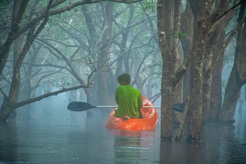 Sigiriya to Trincomalee: Kayaking & Floating Restaurant Tour