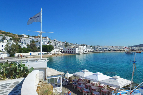 Tour particular: 4 horas de passeio pela ilha de Mykonos - Como um localExcursão particular: 4 horas de passeio pela ilha de Mykonos - Como um local